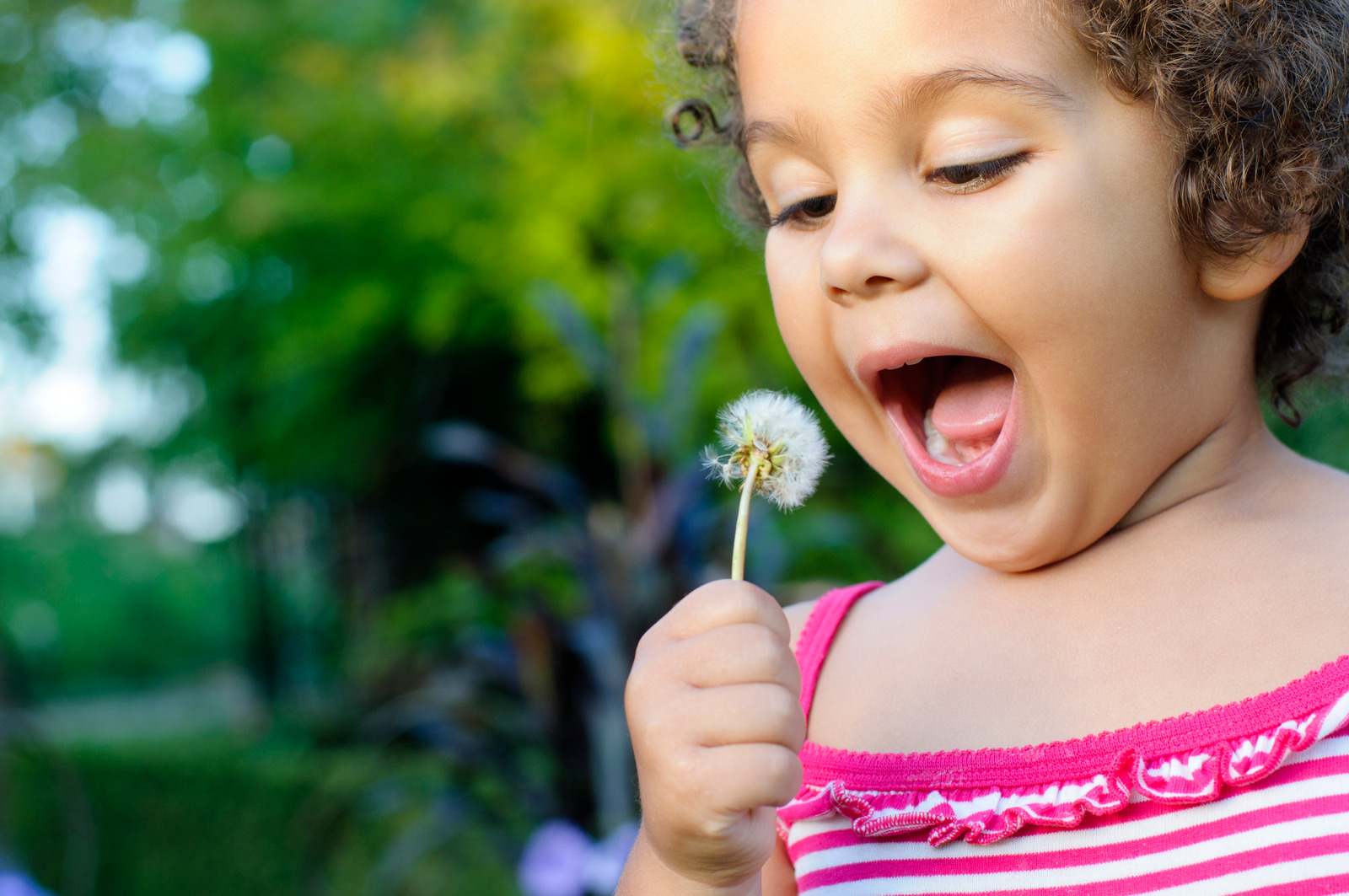 Little Girl, 3 Years Old, Is Blowing a Dandelion une petite fille qui souffle sur une fleur